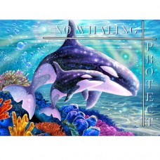 STEVE SUNDRAM GREETING CARD Orca Harmony